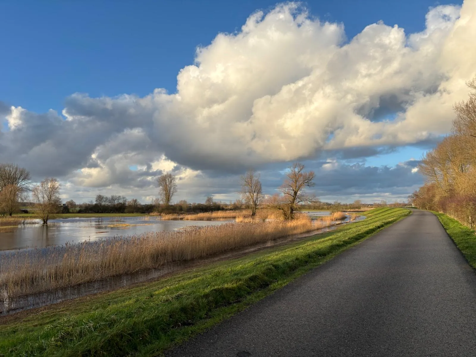 Sfeerbeeld van vakantiehuis IJsselgoud (13)